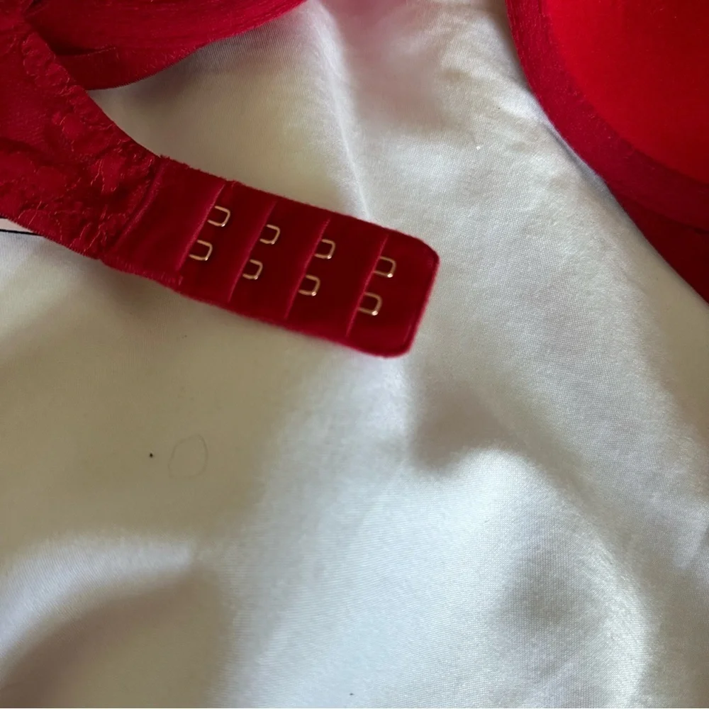 Red Lace Bra
